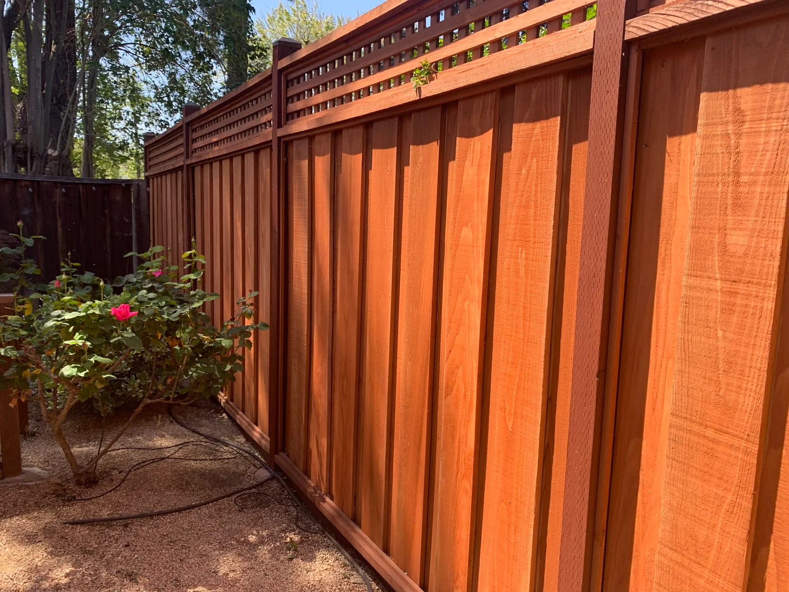 Cedar, Pine, or Redwood? Choosing the Right Wood Fence for South Carolina Conditions