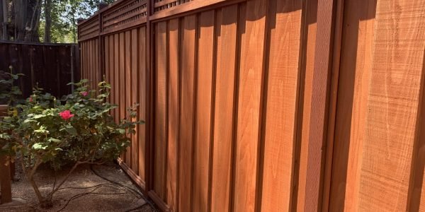 Cedar, Pine, or Redwood? Choosing the Right Wood Fence for South Carolina Conditions